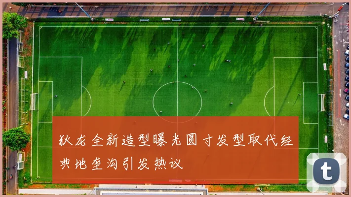 狄龙全新造型曝光圆寸发型取代经典地垄沟引发热议