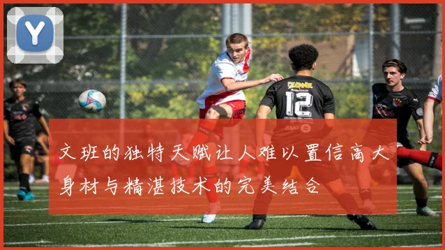 文班的独特天赋让人难以置信高大身材与精湛技术的完美结合