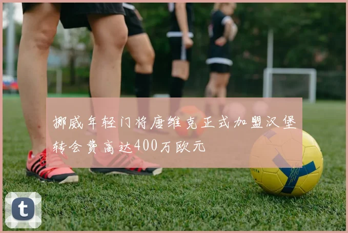挪威年轻门将唐维克正式加盟汉堡转会费高达400万欧元