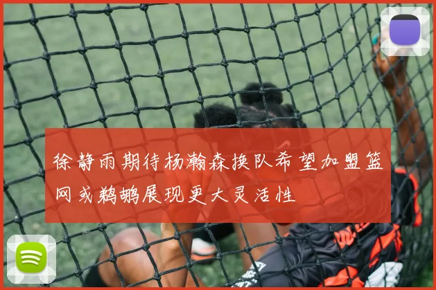 徐静雨期待杨瀚森换队希望加盟篮网或鹈鹕展现更大灵活性